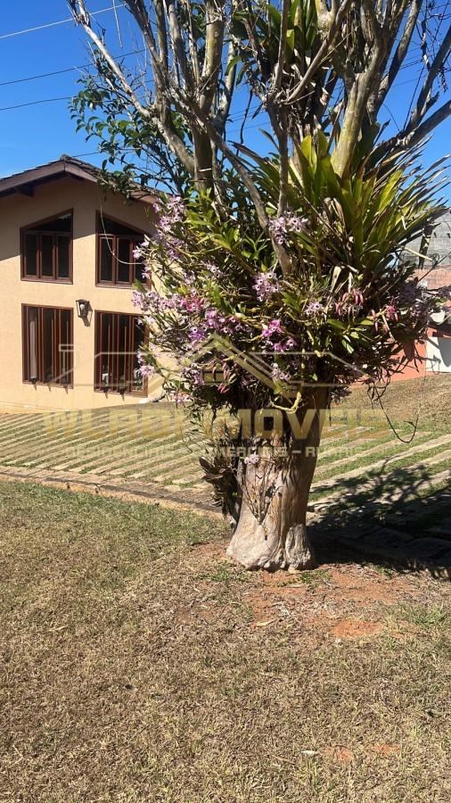 Fazenda, 1 hectares - Foto 14