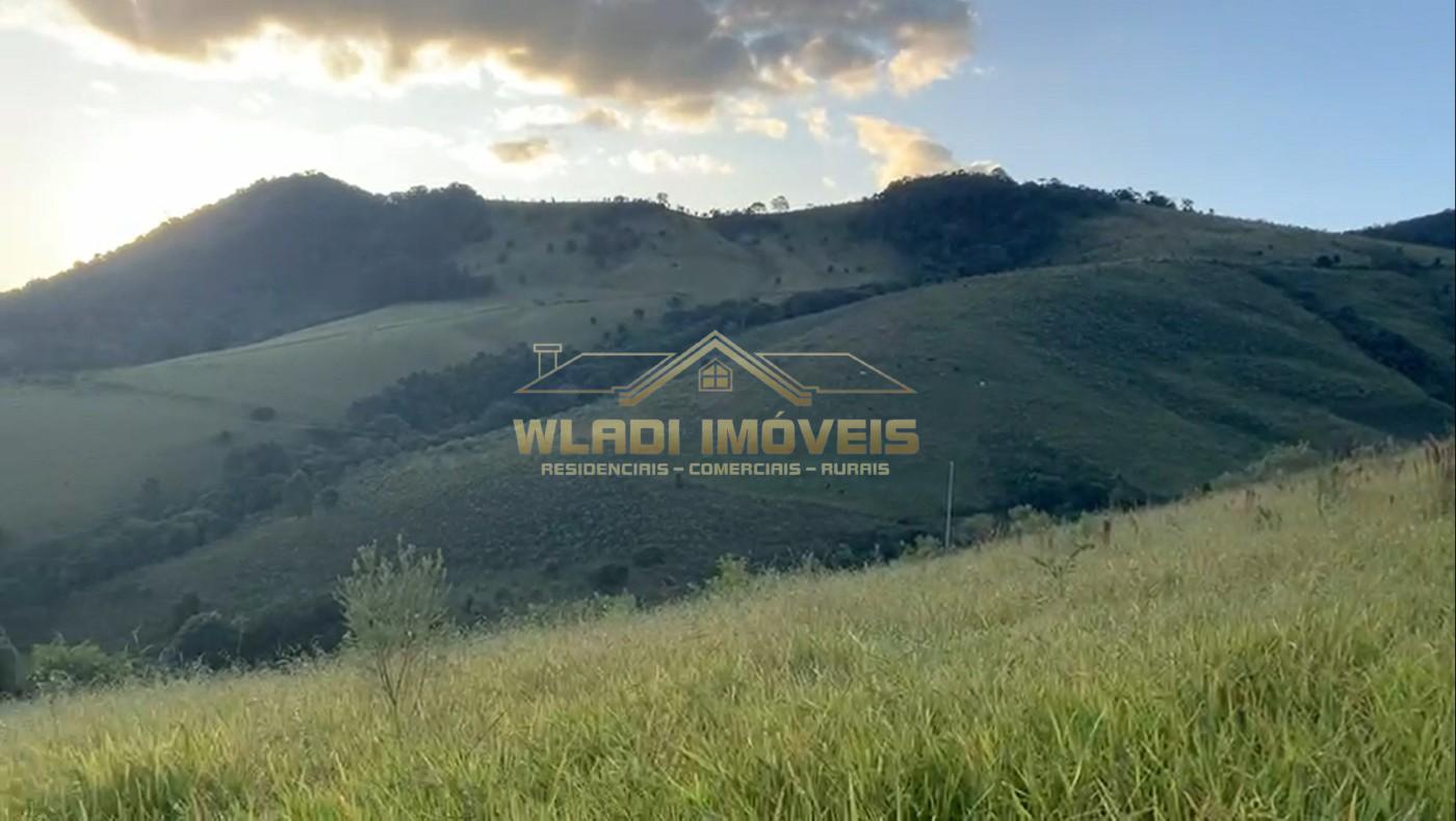 Terreno, 3 hectares - Foto 1