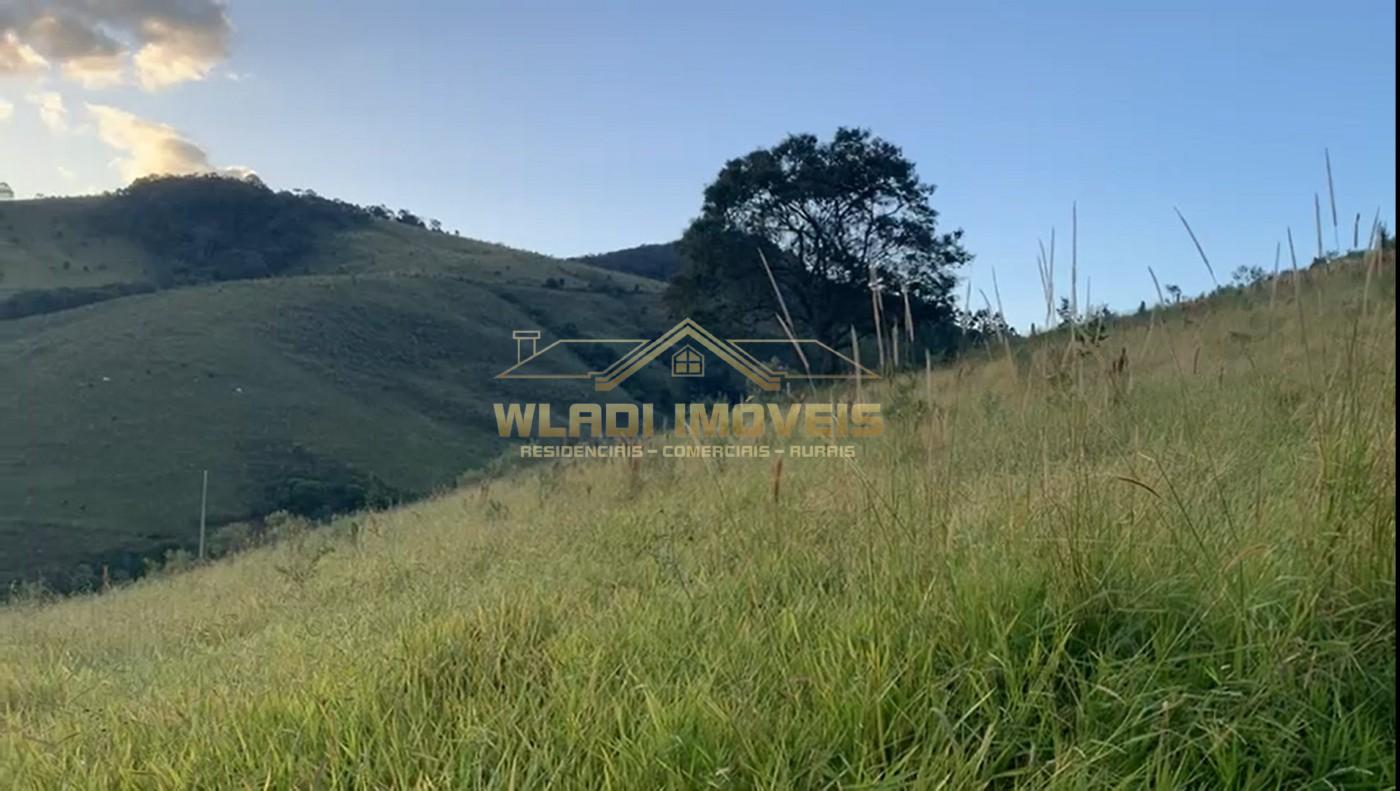 Terreno, 3 hectares - Foto 3