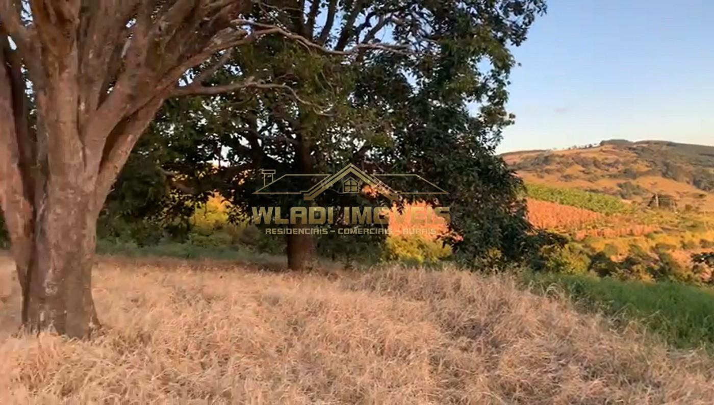 Terreno, 3 hectares - Foto 6