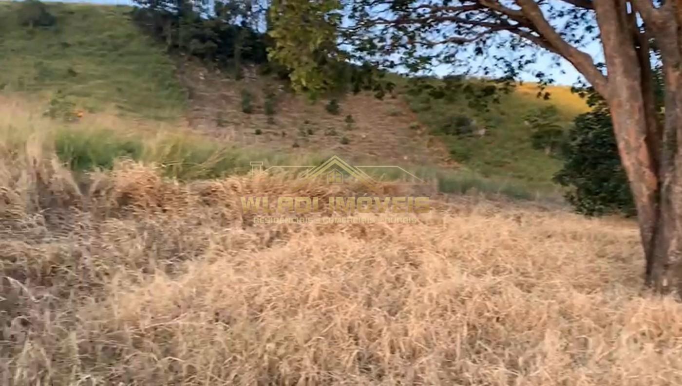 Terreno, 3 hectares - Foto 7