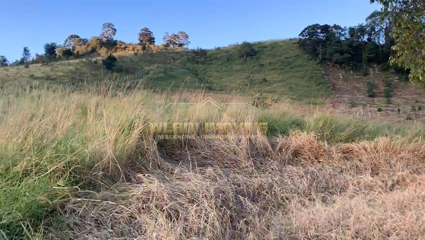 Terreno, 3 hectares - Foto 8