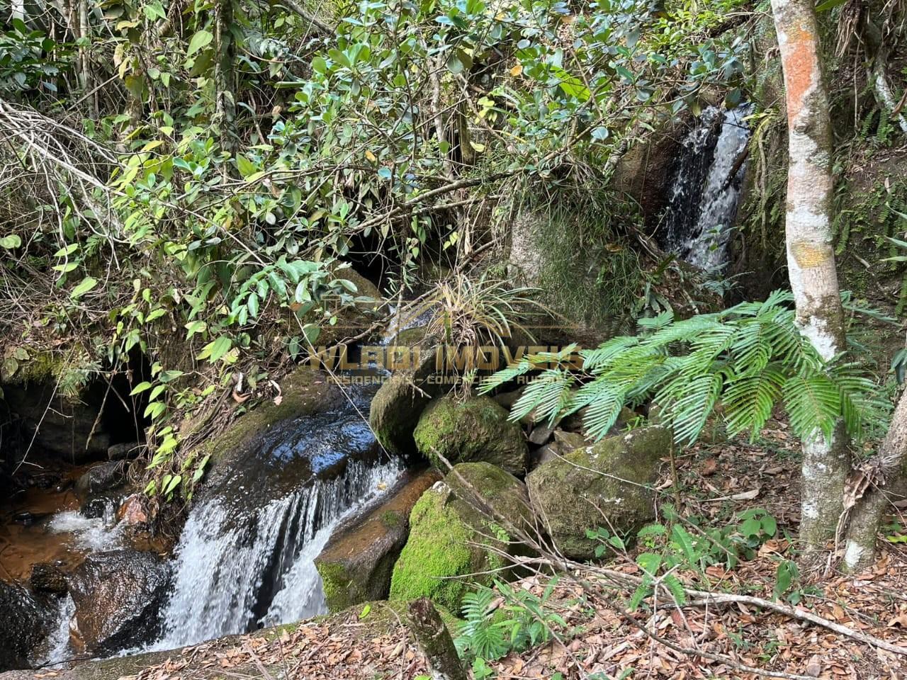 Fazenda, 3 hectares - Foto 6