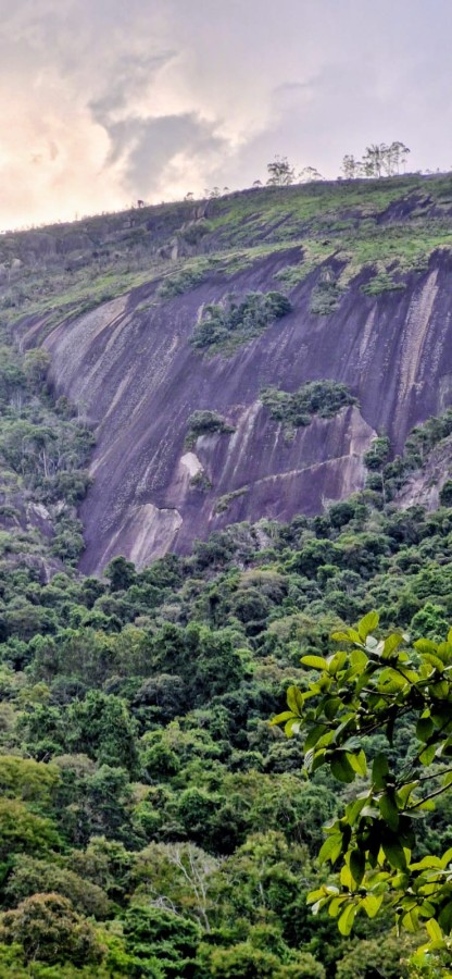 Fazenda, 3 hectares - Foto 4