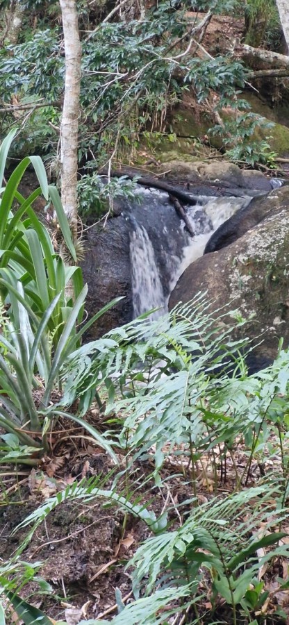 Fazenda, 3 hectares - Foto 10