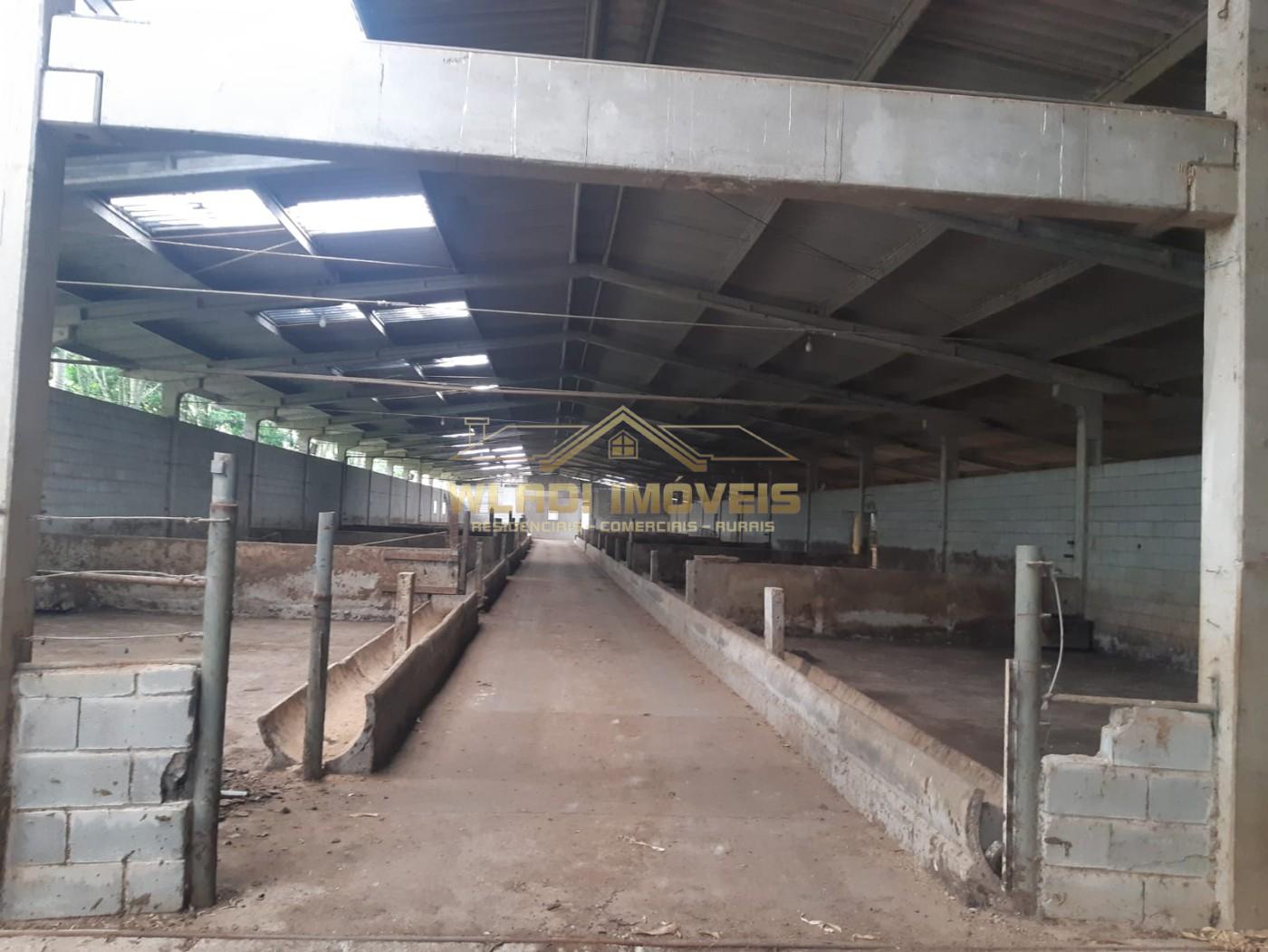 Fazenda, 60 m² - Foto 32