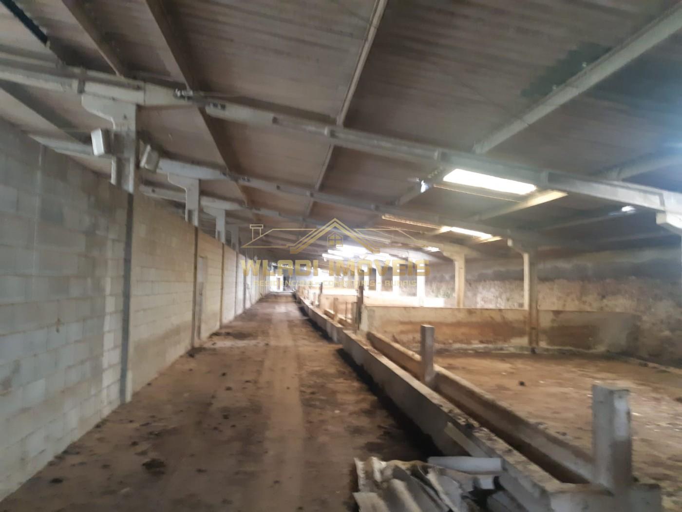 Fazenda, 60 m² - Foto 35