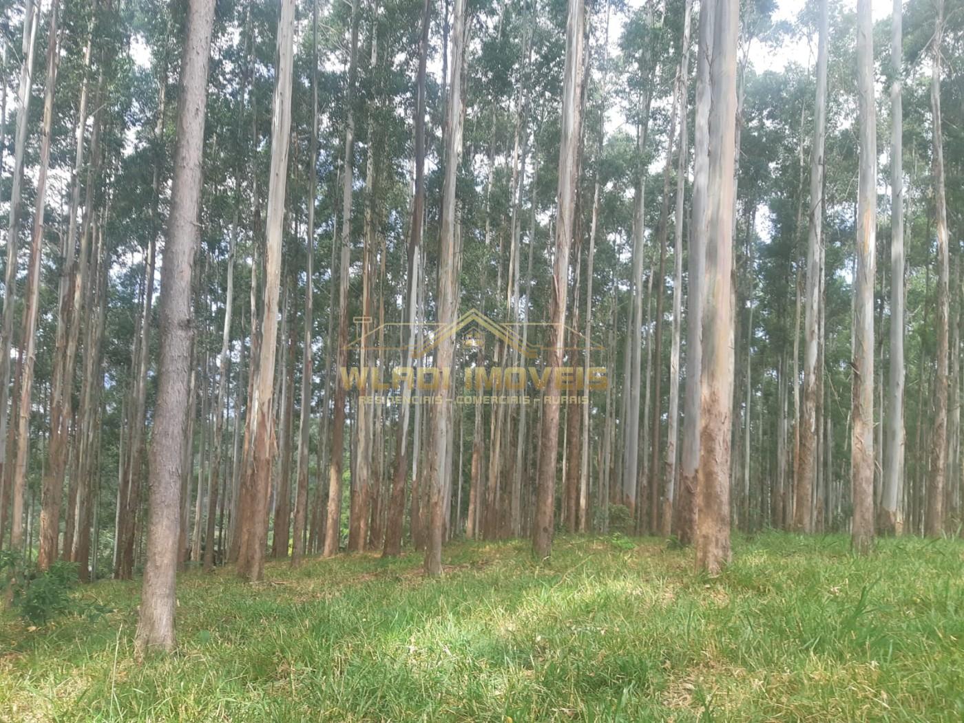 Fazenda, 60 m² - Foto 50