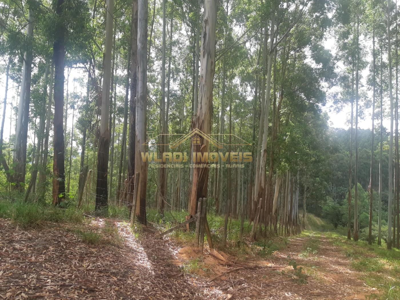 Fazenda, 60 m² - Foto 49