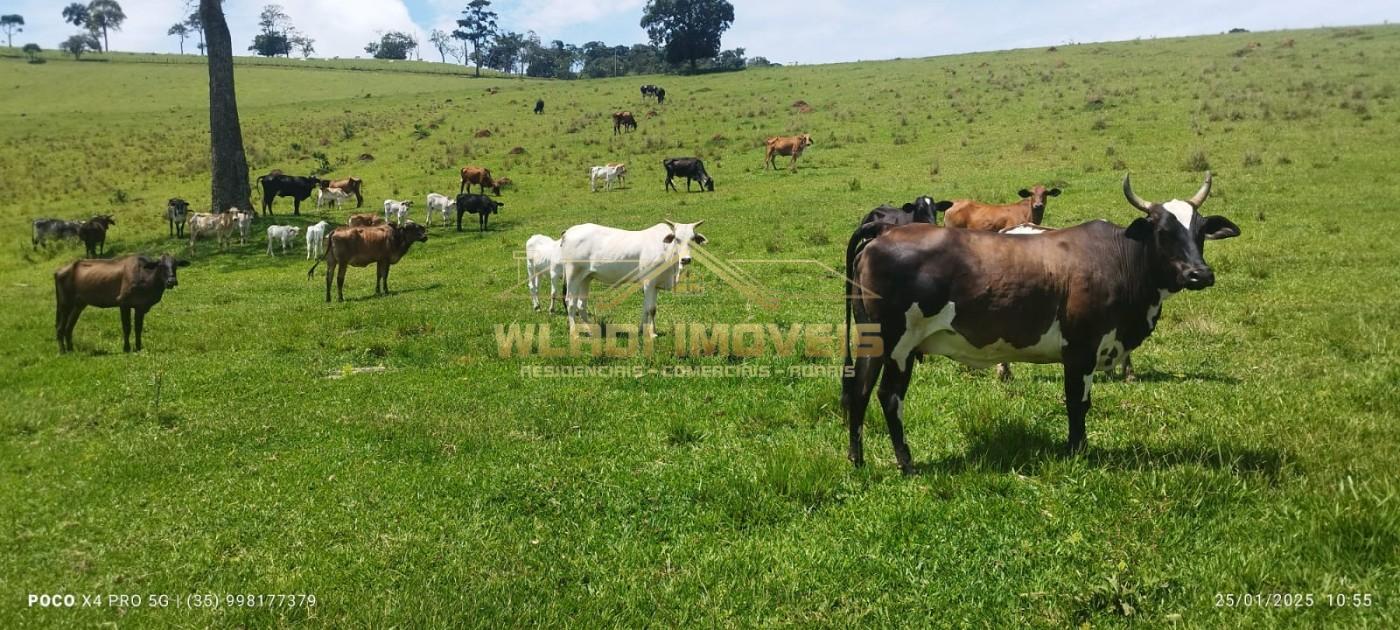 Fazenda, 60 m² - Foto 52
