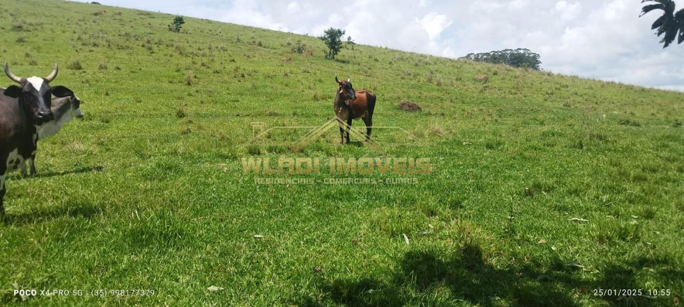 Fazenda, 72 m² - Foto 8