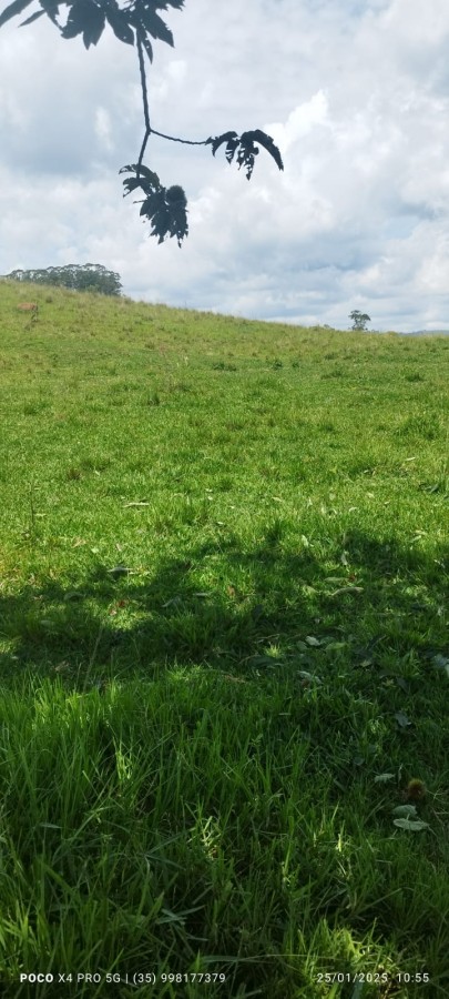 Fazenda, 72 m² - Foto 10