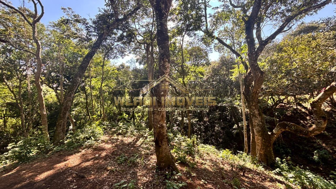 Fazenda, 2000 m² - Foto 4