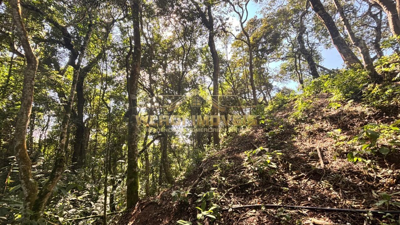 Fazenda, 2000 m² - Foto 8
