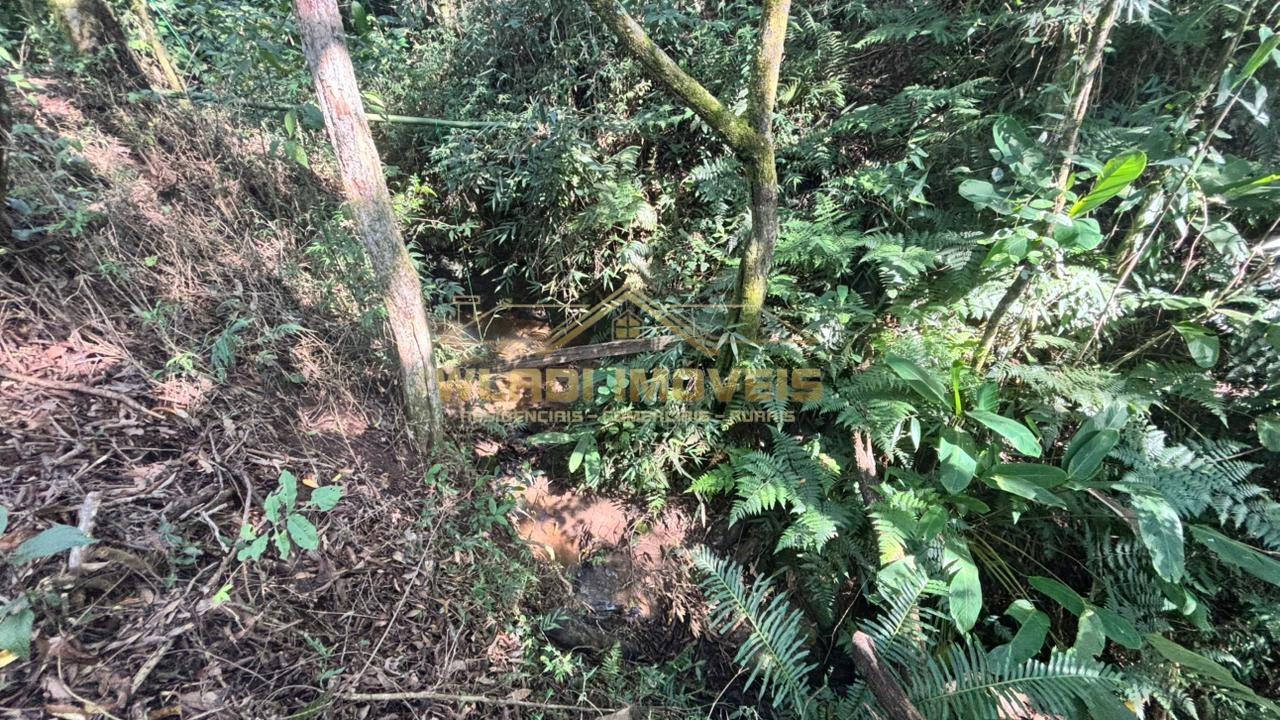 Fazenda, 2000 m² - Foto 26