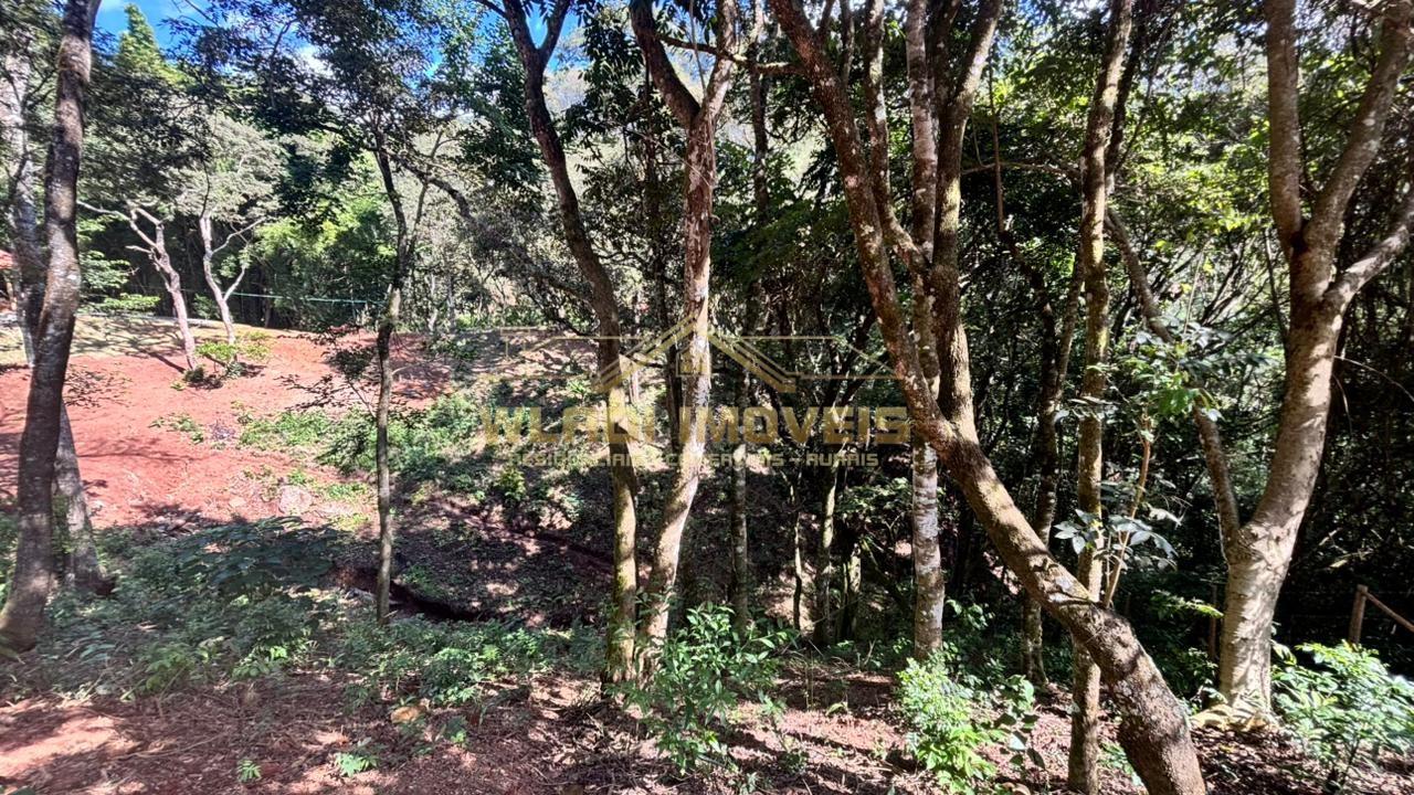 Fazenda, 2000 m² - Foto 29