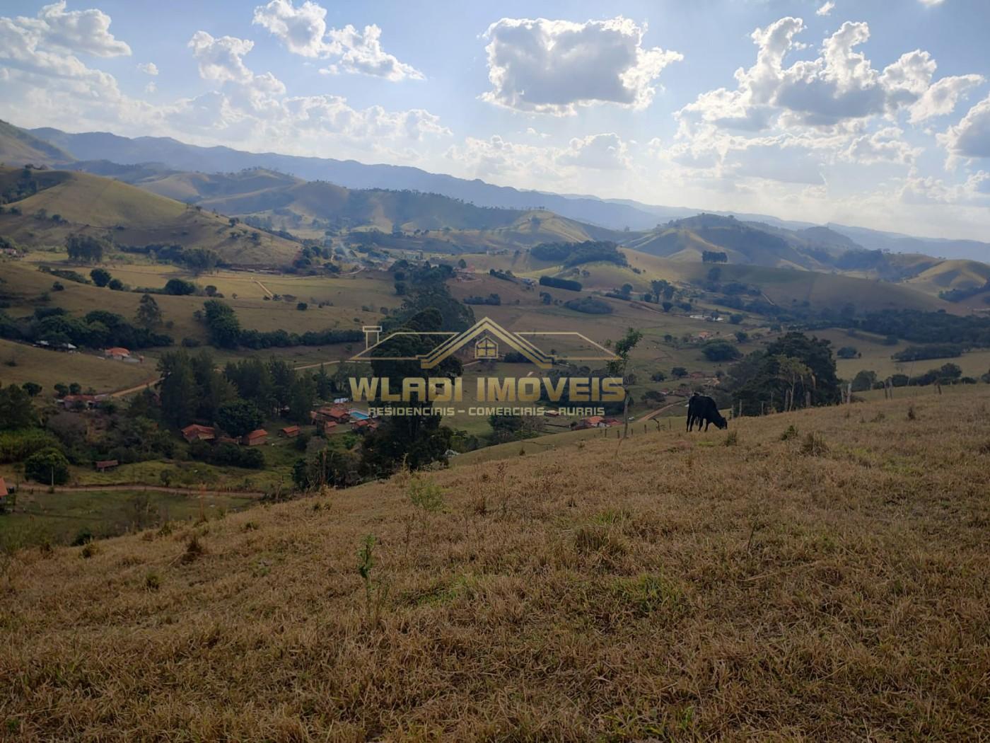 Fazenda, 6000 m² - Foto 2