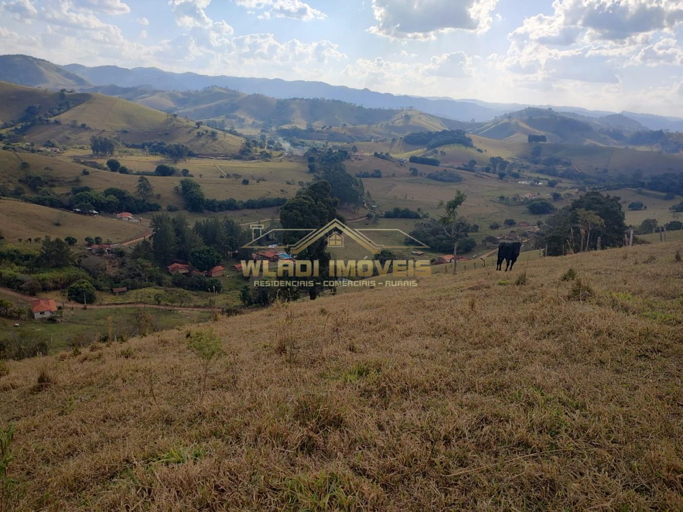 Fazenda, 6000 m² - Foto 3