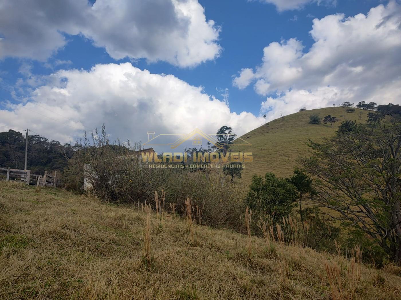 Fazenda, 6000 m² - Foto 7