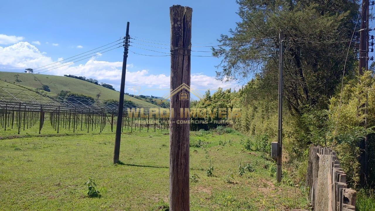 Sítio, 6 m² - Foto 16