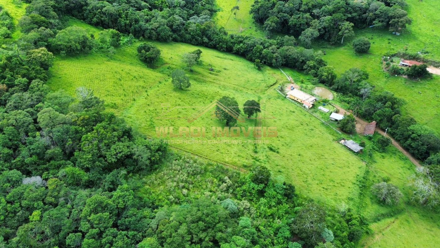 Fazenda, 3 hectares - Foto 11