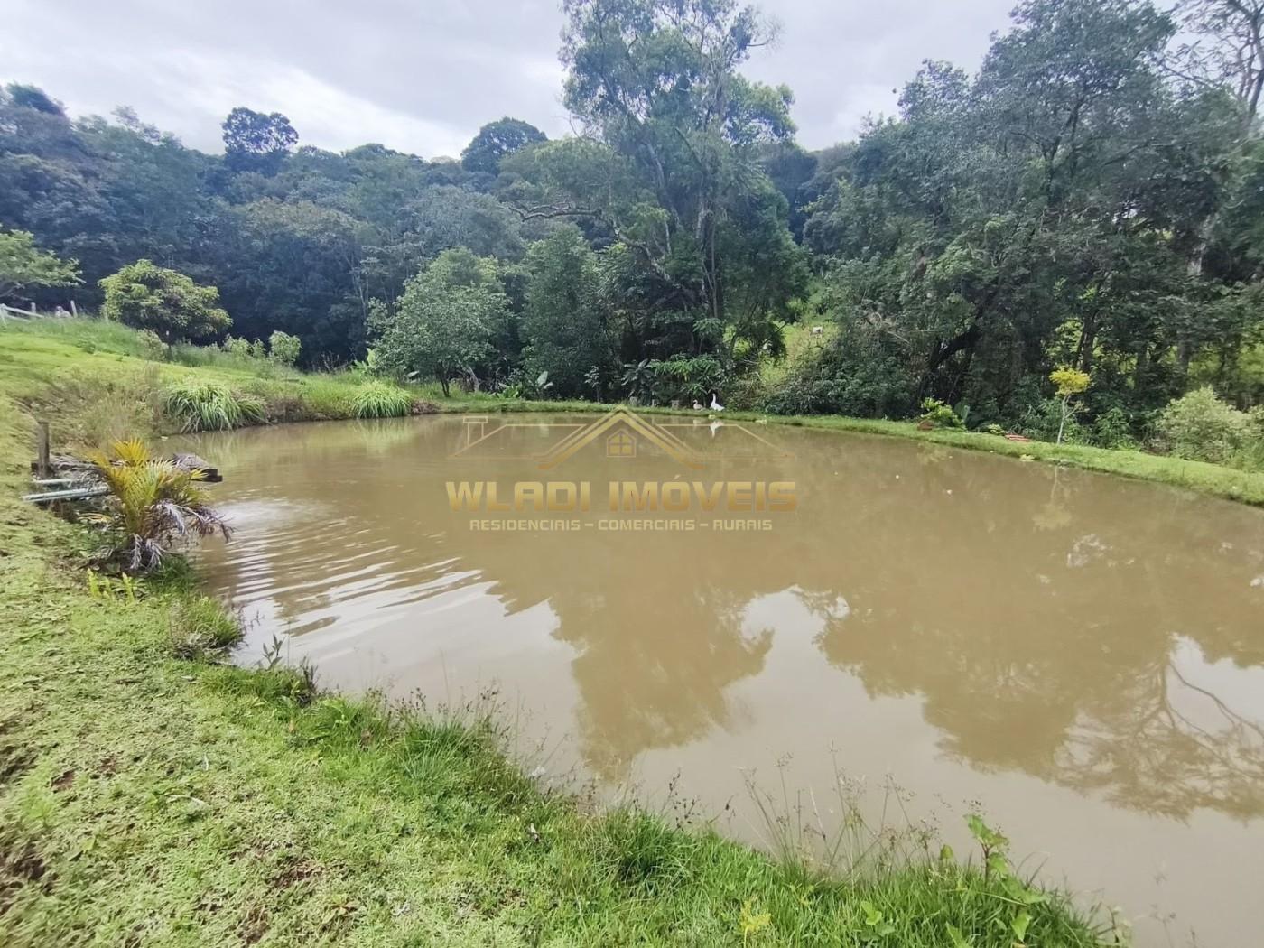 Fazenda, 3 hectares - Foto 23