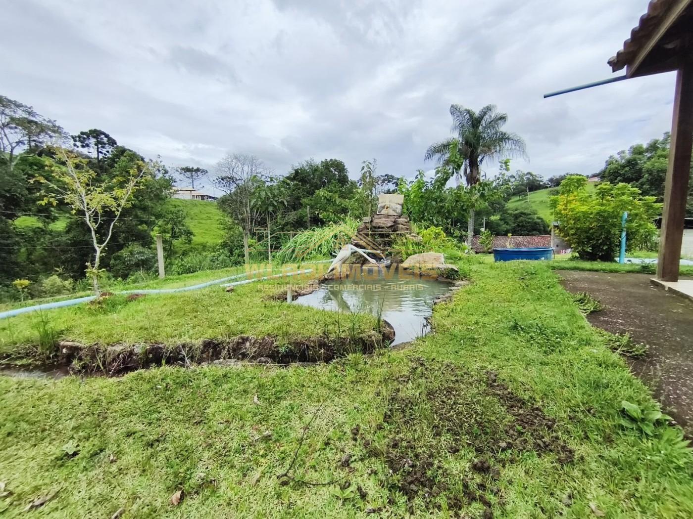Fazenda, 3 hectares - Foto 10