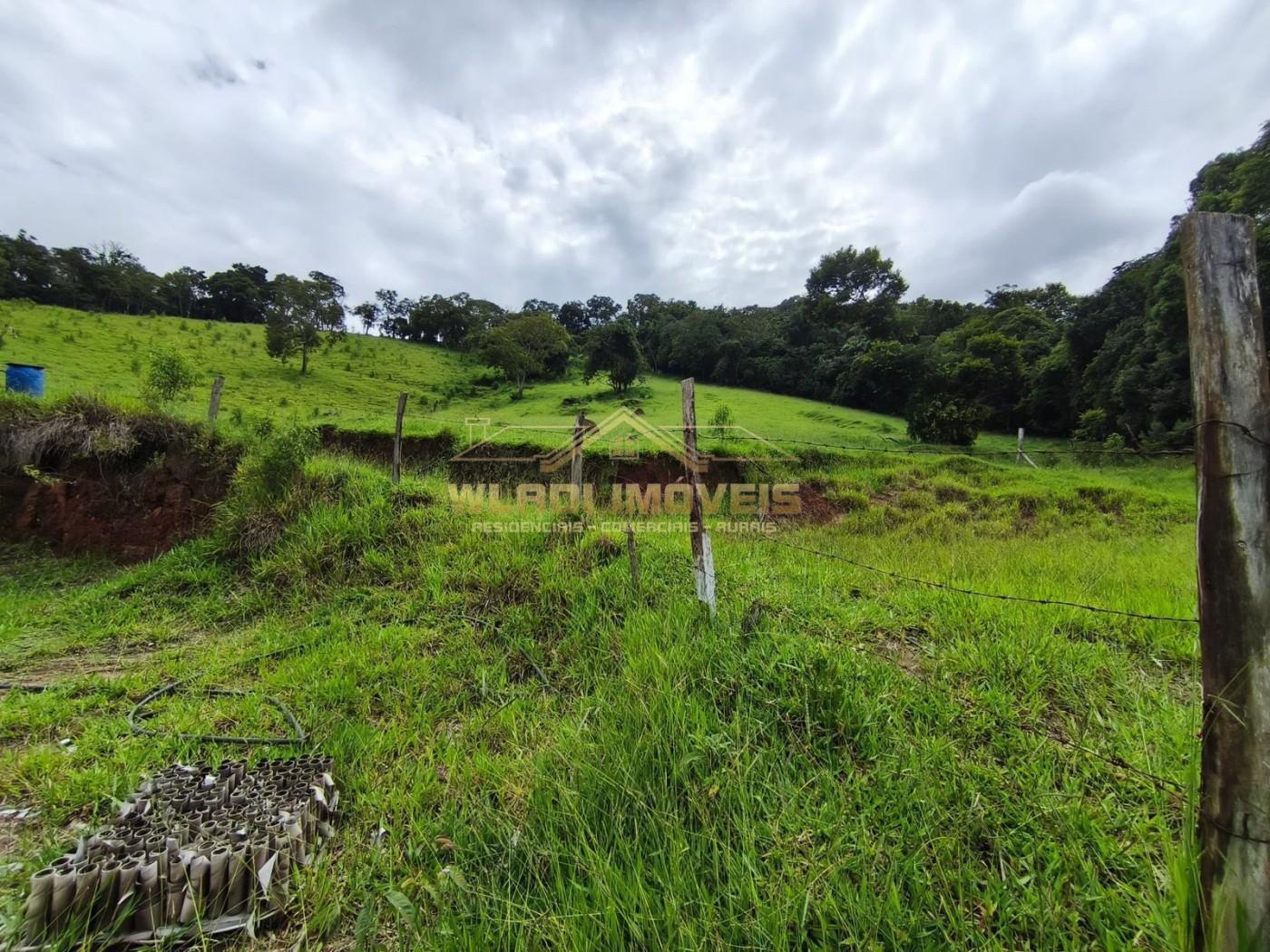 Fazenda, 3 hectares - Foto 14