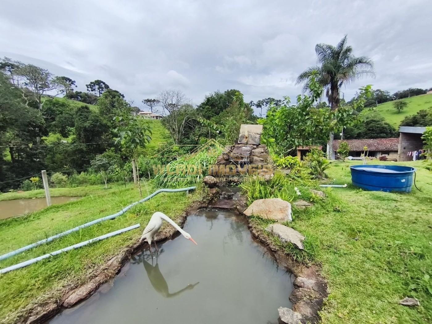 Fazenda, 3 hectares - Foto 3