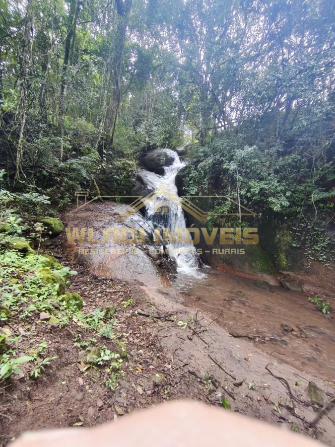 Fazenda, 3 hectares - Foto 2