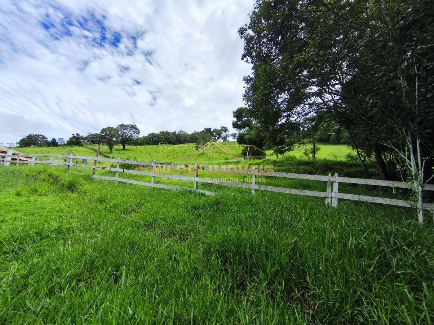 Fazenda, 3 hectares - Foto 25