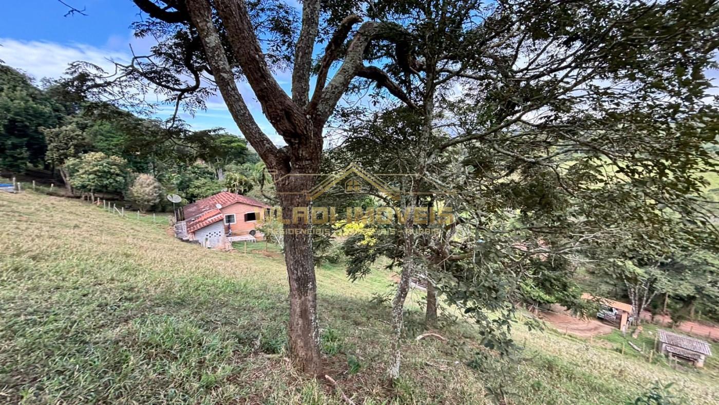 Fazenda, 8000 m² - Foto 10
