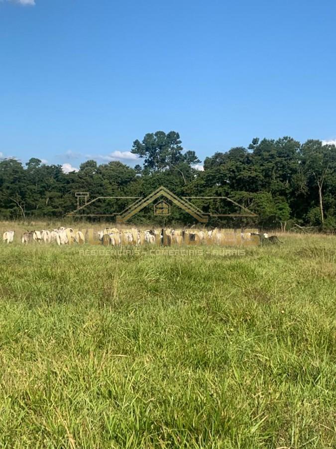 Fazenda, 770 m² - Foto 2