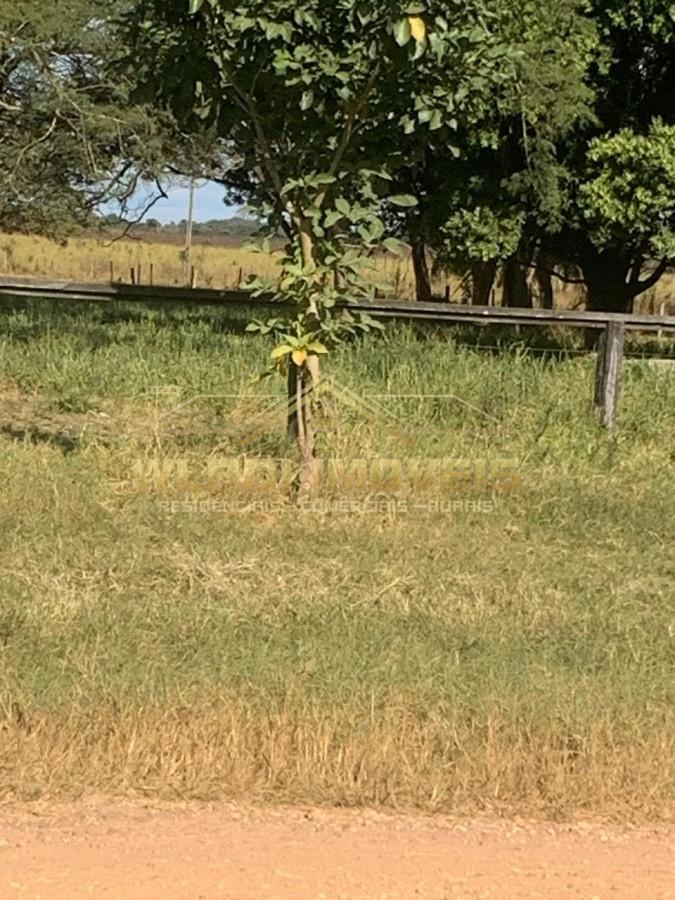 Fazenda, 770 m² - Foto 7