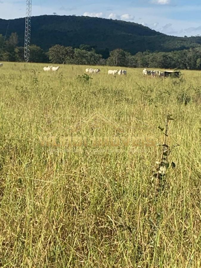 Fazenda, 770 m² - Foto 10