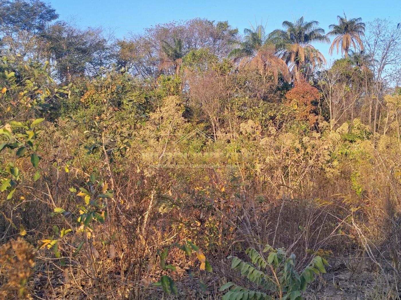 Fazenda, 421 m² - Foto 10