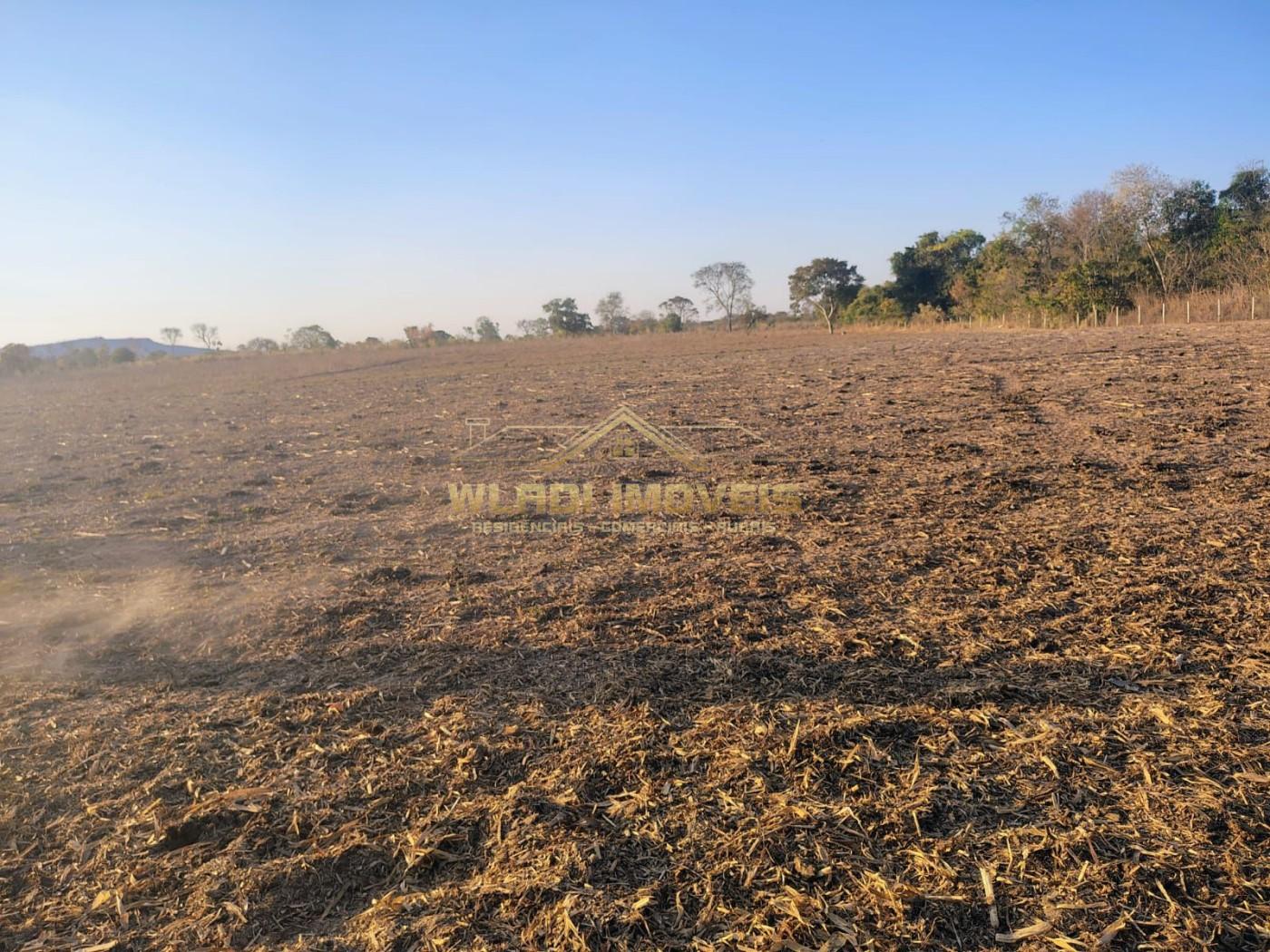 Fazenda, 421 m² - Foto 11