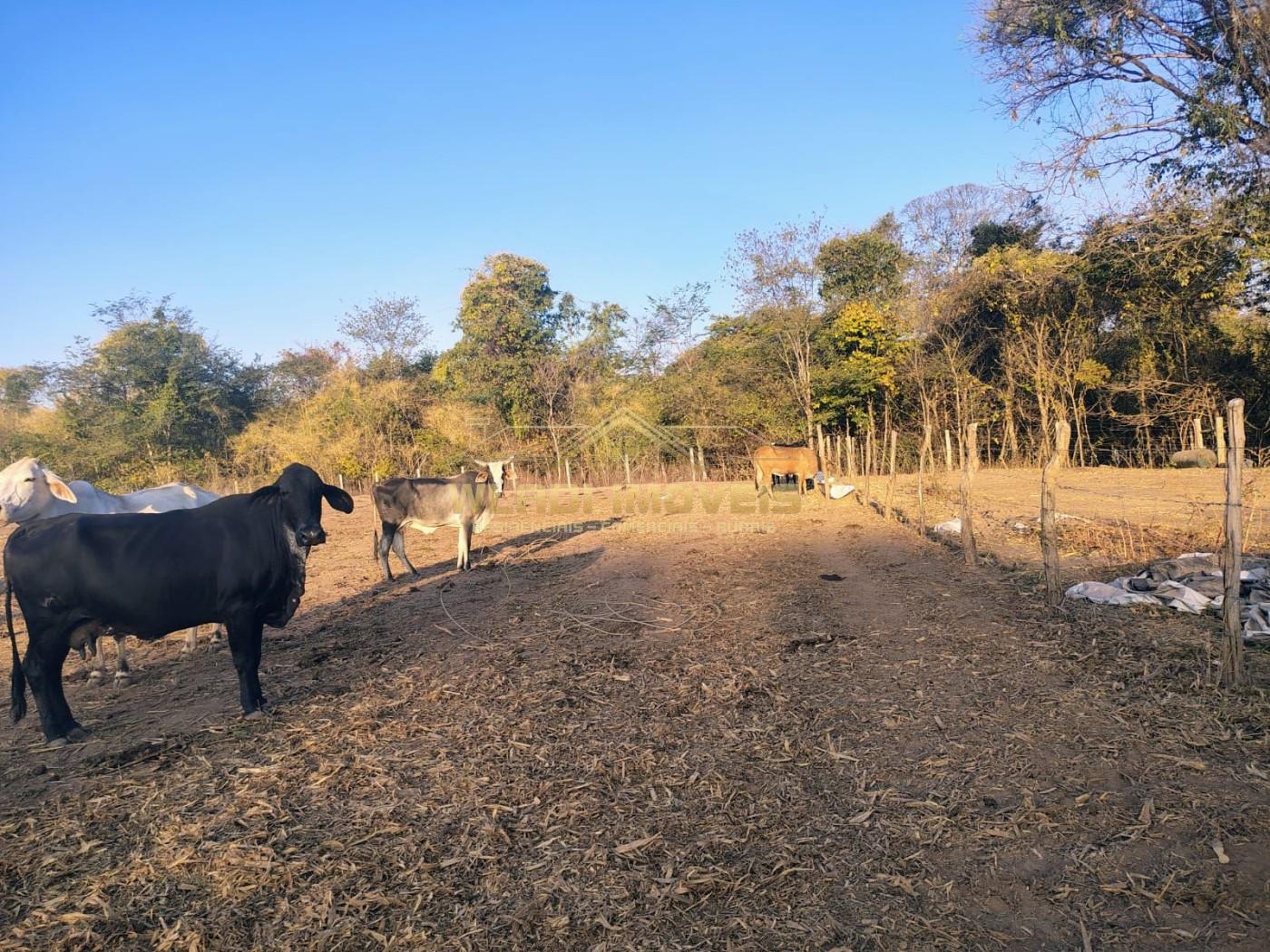 Fazenda, 421 m² - Foto 30