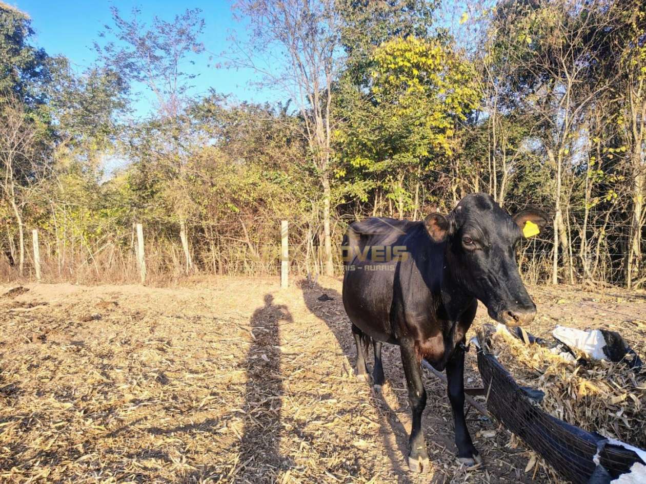 Fazenda, 421 m² - Foto 46