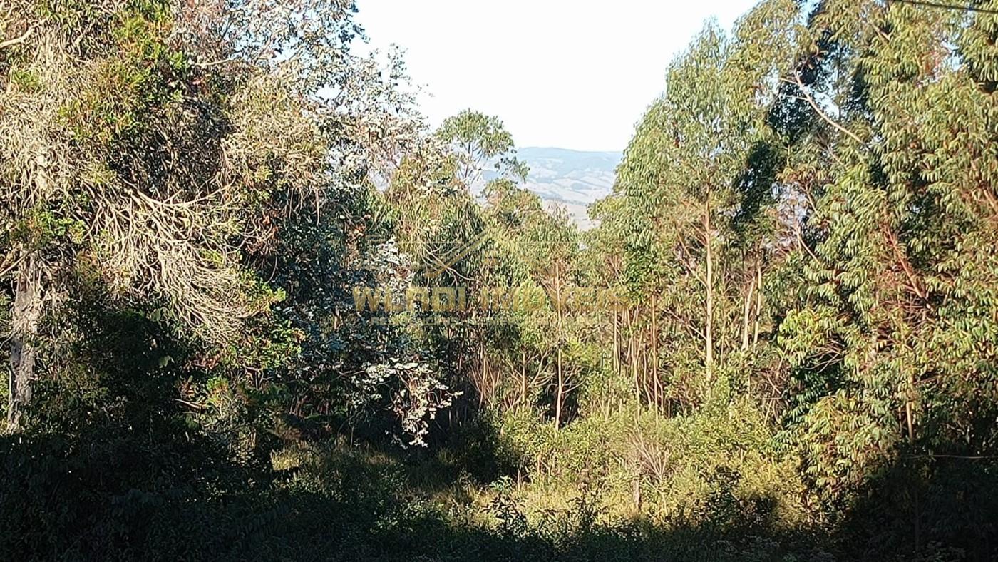 Sítio, 6 m² - Foto 15