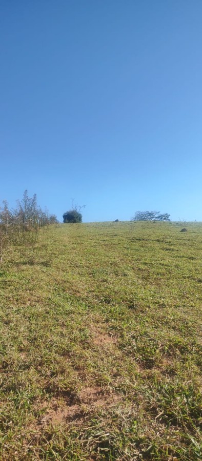 Sítio, 17 m² - Foto 12