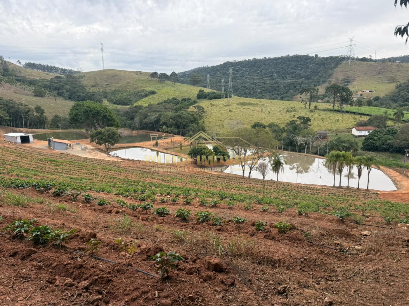 Fazenda, 8 hectares - Foto 2