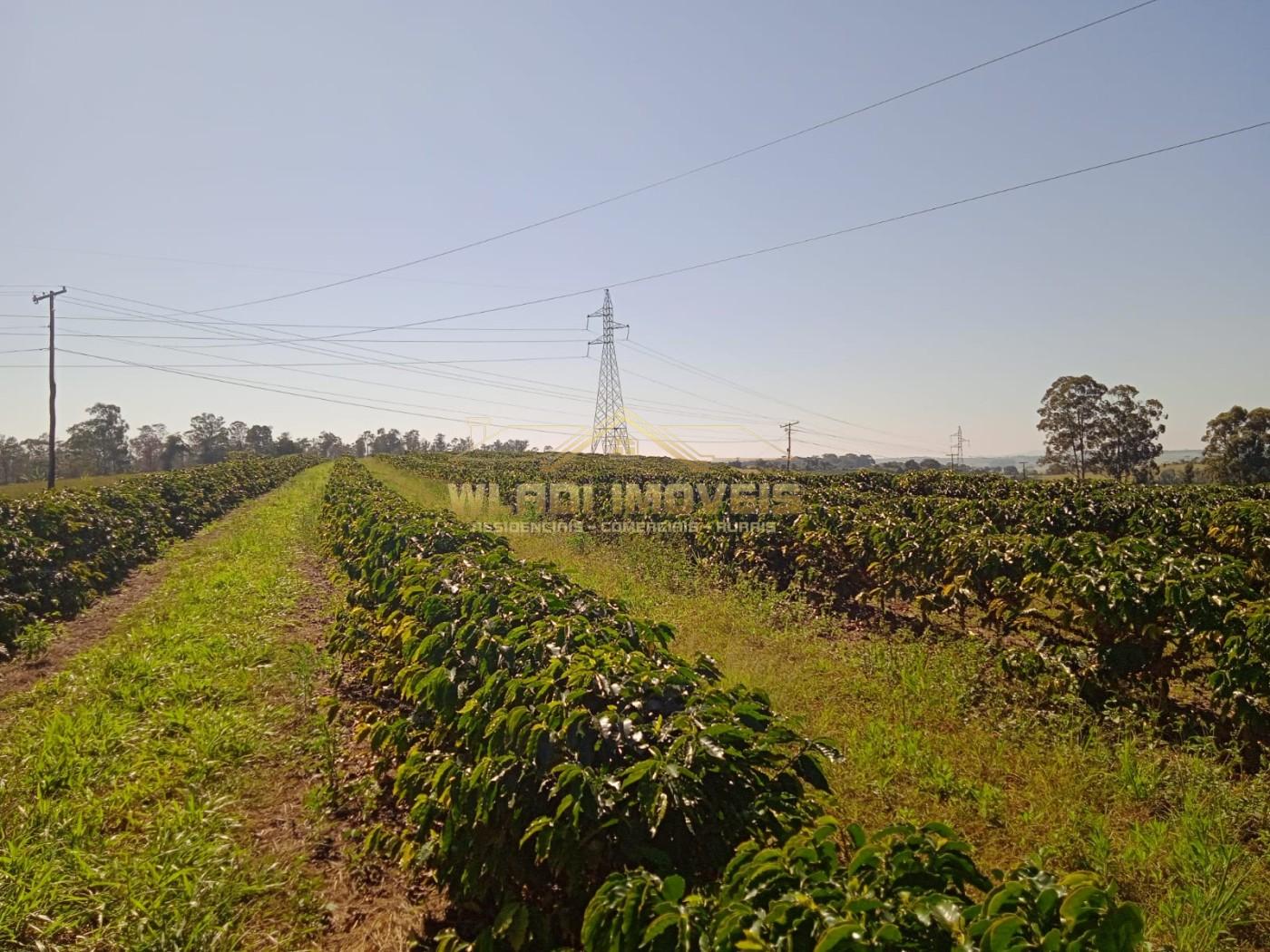 Fazenda - Foto 9