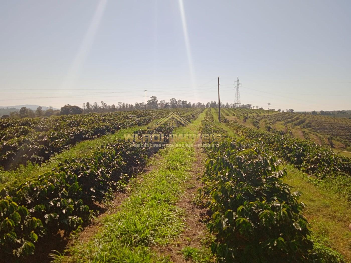 Fazenda - Foto 1
