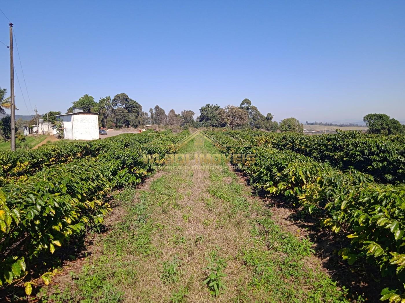 Fazenda - Foto 3