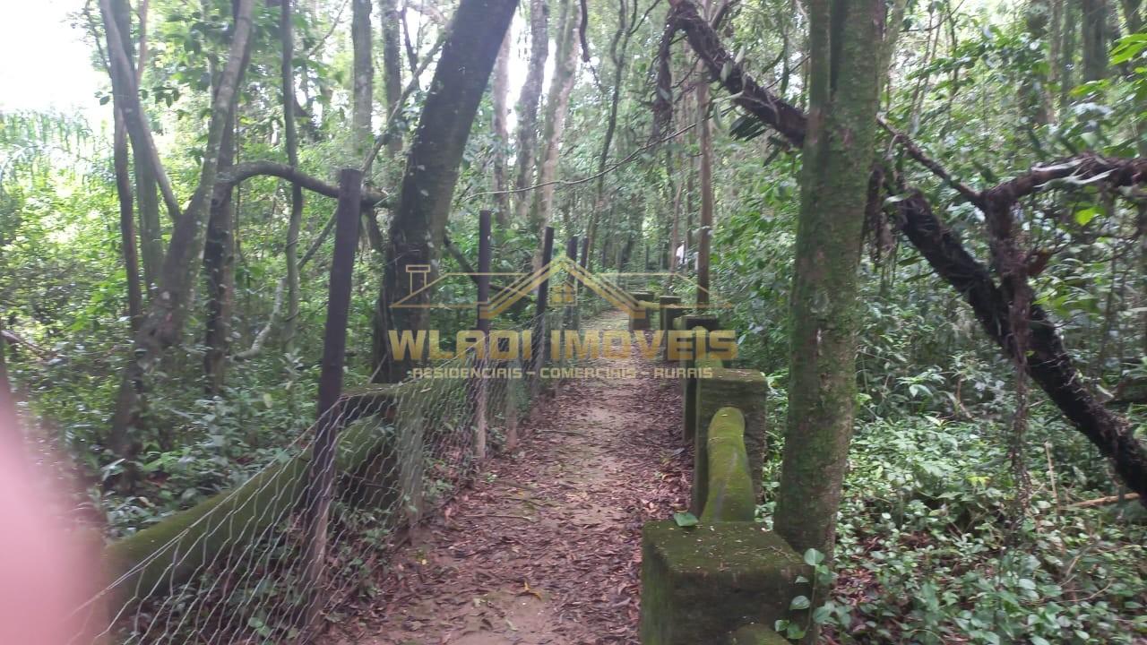 Sítio, 7 quartos, 6 hectares - Foto 38