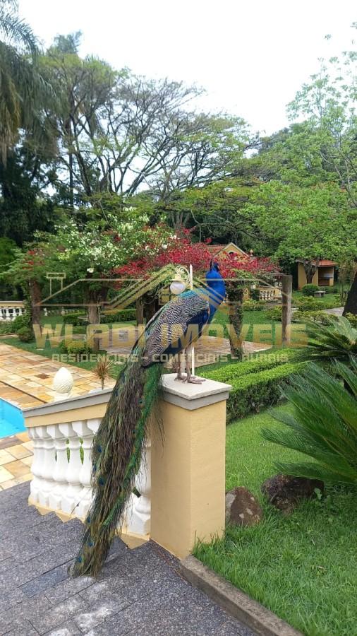 Sítio, 7 quartos, 6 hectares - Foto 37