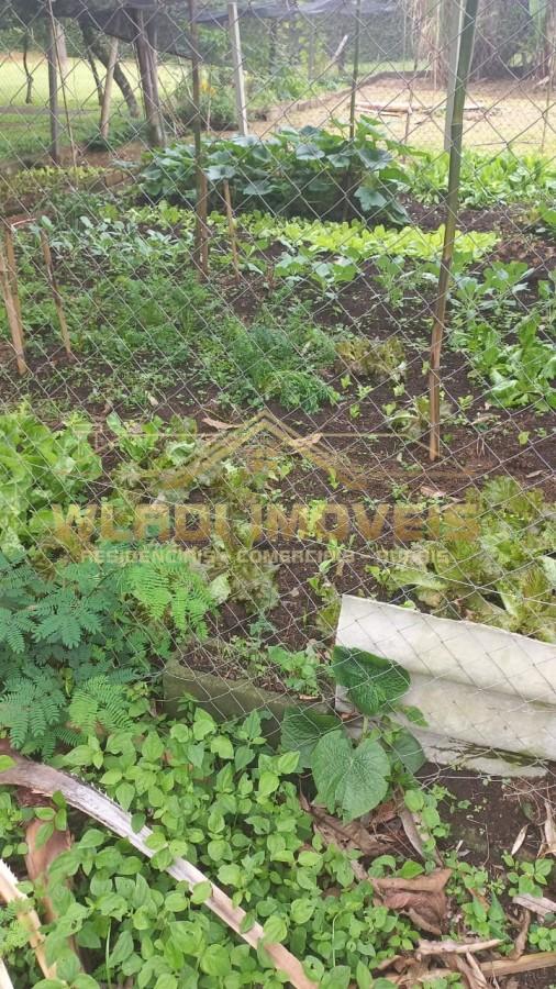 Sítio, 7 quartos, 6 hectares - Foto 41