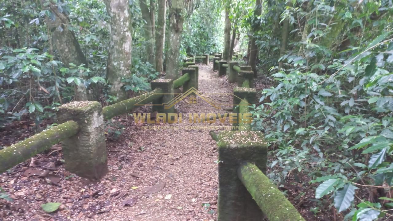 Sítio, 7 quartos, 6 hectares - Foto 40