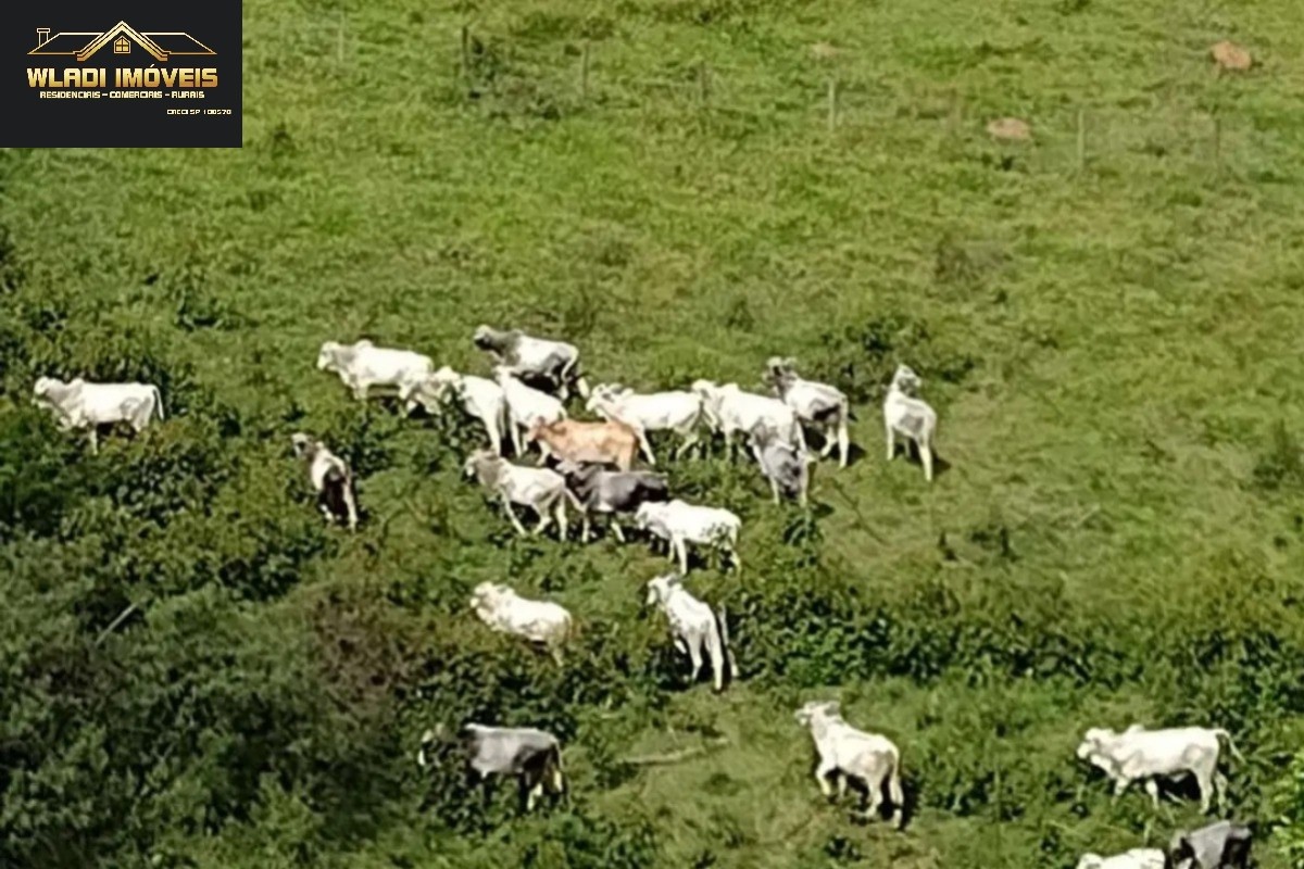 Fazenda, 140 m² - Foto 4